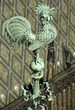 Prague Cock