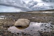 Cockerham Sands