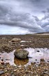 Cockerham Sands