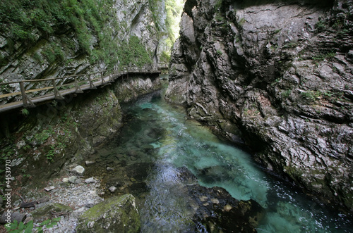 Mountain river gorge Mountain river gorge