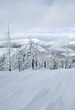 Winter in mountains