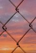 iron wire close up