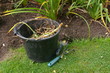 garden weeding