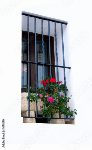Ventana de andalucía