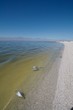 Foto: Dead fish floating Salton Sea Dead fish floating Salton Sea