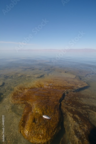 Foto: Salt Clumps Salton Sea Salt Clumps Salton Sea