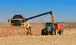 récolte du maïs à grains