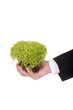 growing business