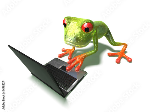 Grenouille devant un ordinateur portable