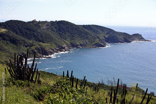 praia brava buzios