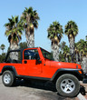 Red car palm trees and blue sky