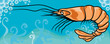 Shrimp