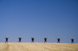 The freedom to live in our planet