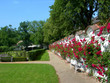 Bautiful park Bautiful park