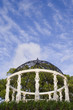 The garden