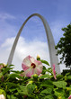 Gateway Arch J