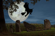 Witch's flight