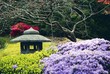 San Francisco, Japanese Tea Garden in Golden Gate Park, 6.4.2007