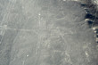 Ligne de Nasca : le colibri