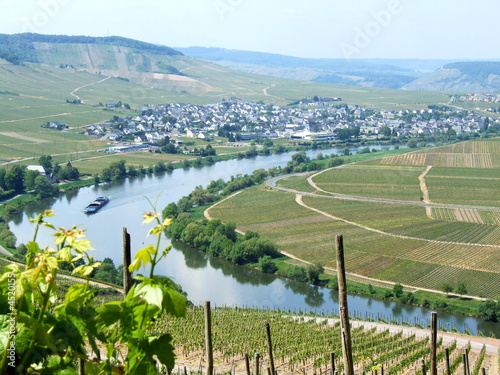 Foto: Blick auf Leiwen Blick auf Leiwen