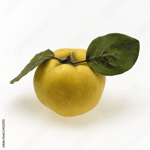 quince