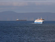 distant ships