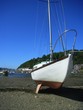 Segelboot Segelboot