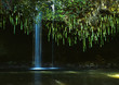 Maui Falls A