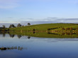 Lakeside Reflections
