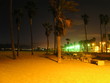 Palmen Santa Monica