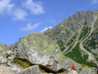 Rocks