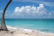 Caribe