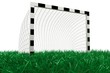 football goal on grass football goal on grass