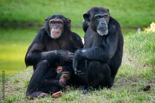 Happy Family