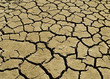 Mud Cracks B1