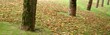 horticulture banner