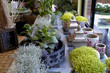 magasin de fleurs