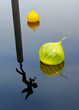 Glass Float A