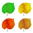 life and death of an autumn leaf life and death of an autumn leaf