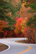 Fall Color Splash