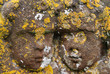 Close up of two carved cherub heads from 18th Century headstone 