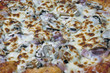 pizza jambon fromage