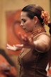 arte flamenco - michele lama