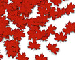 Autum Background Autum Background