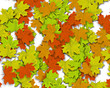 Autum Background Autum Background