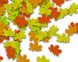 Autum Background Autum Background