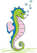 Seahorse