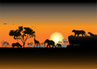 Jungle silluete Jungle silluete