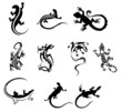 vector lizard tatoo