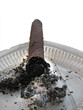 cigar